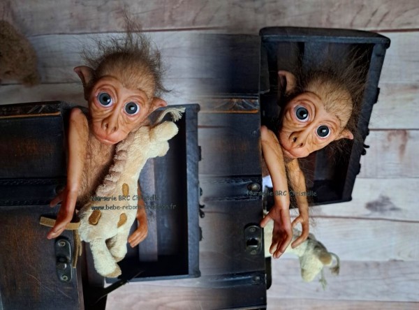 Maki Nurserie BRC Christelle (7)